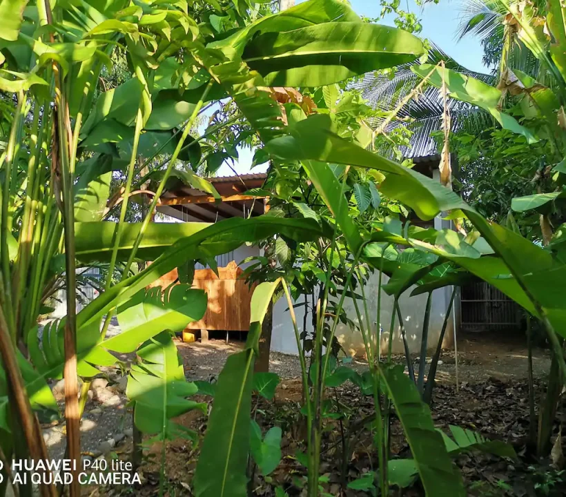 1200fce1-5125-4f9a-80b1-edafdeeb61e0