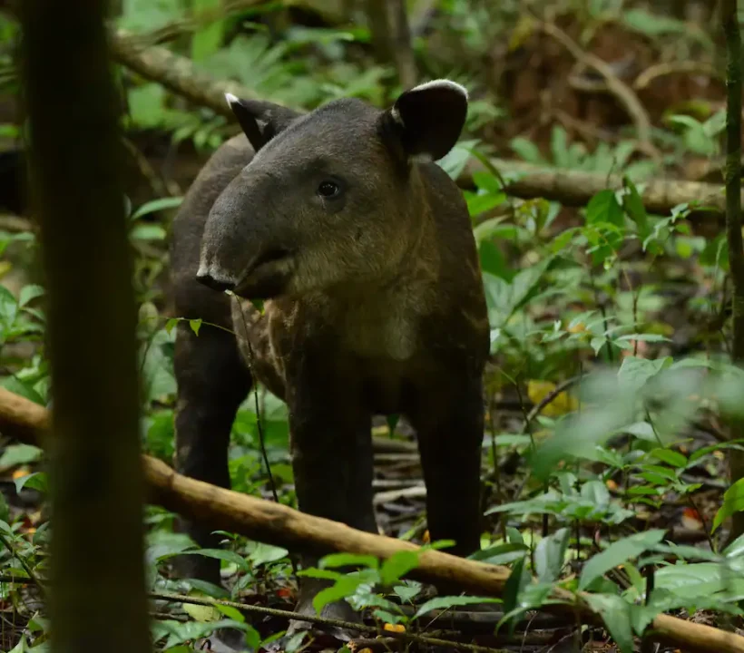 122f73d8-d4f3-4fd7-8bc5-8105711d6a65