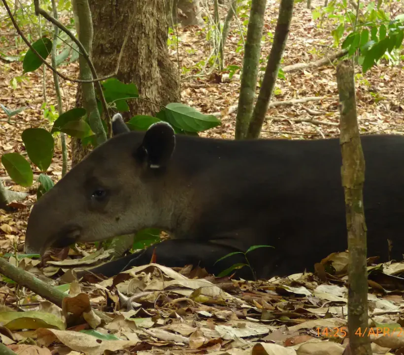 61908900-f895-4571-94d2-87205496bc61