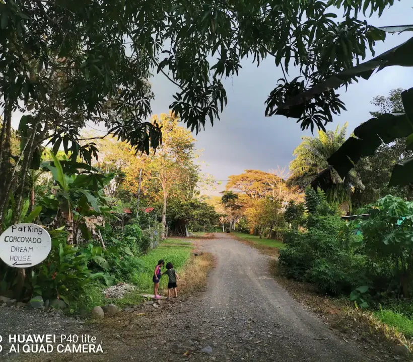 839a9a2c-682d-483e-9891-625ec66d2720