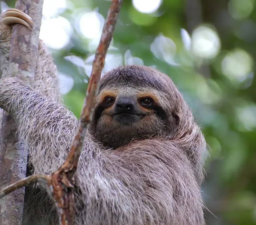 ed6d788b-3b4a-4f49-b571-14b1e08c8493