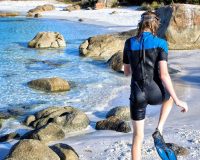 Snorkeling Tour in Caño Island