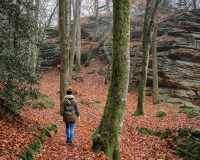 Corcovado Hiking Costa Rica