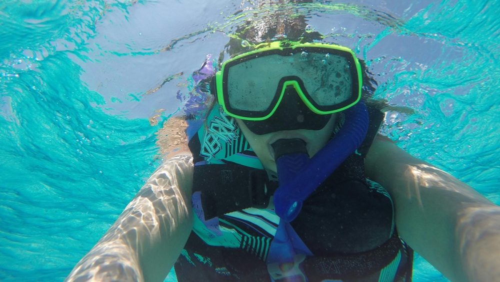 Snorkeling Tour in Caño Island