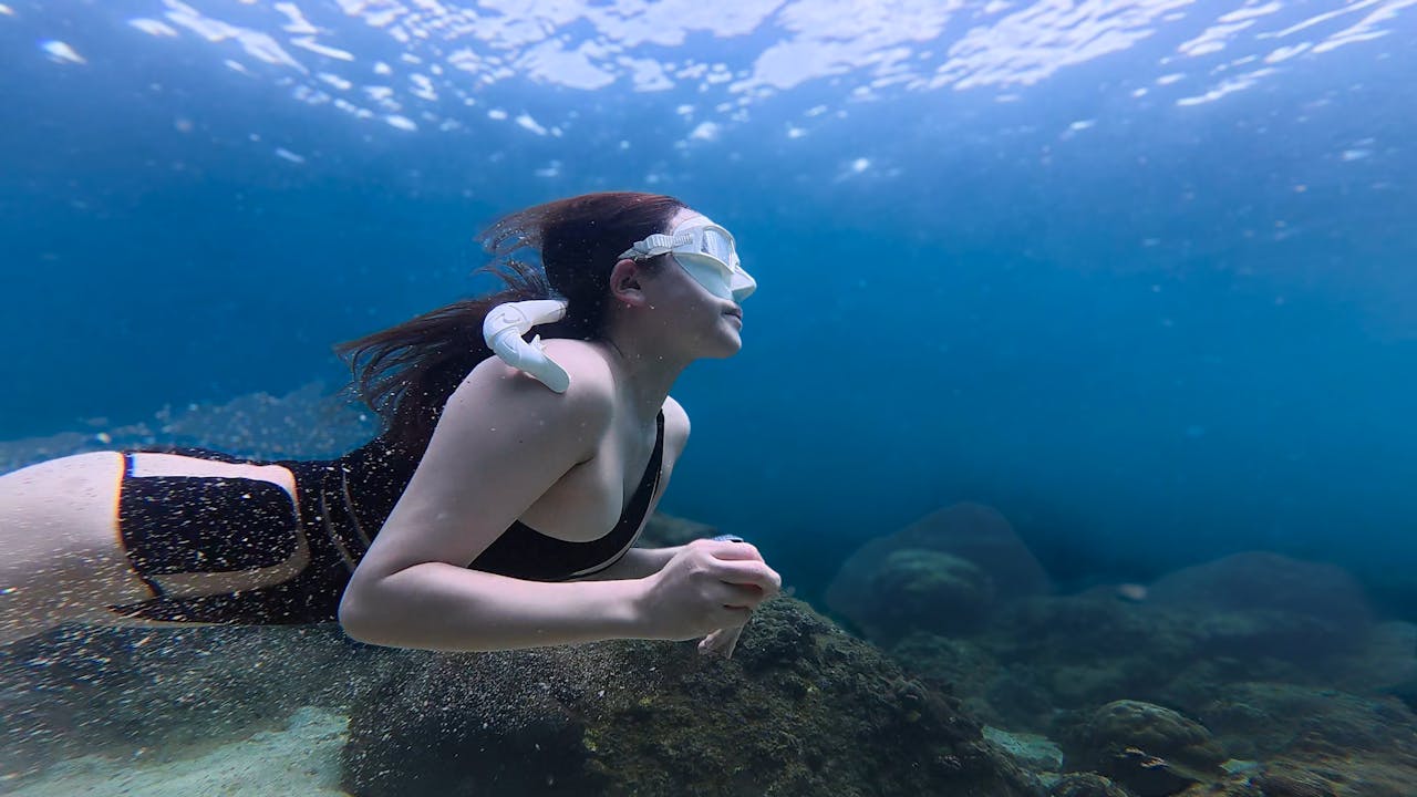 Snorkeling Tour in Caño Island