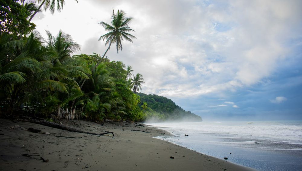 Corcovado National Park