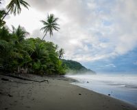 Corcovado National Park